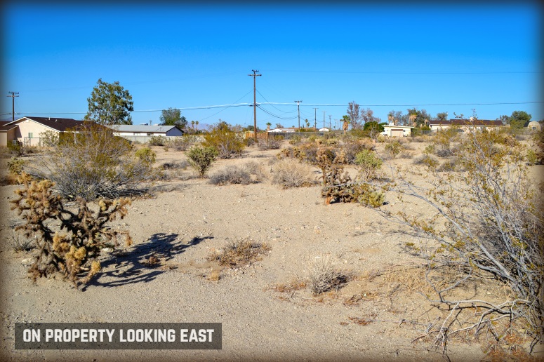 Utah Trail
